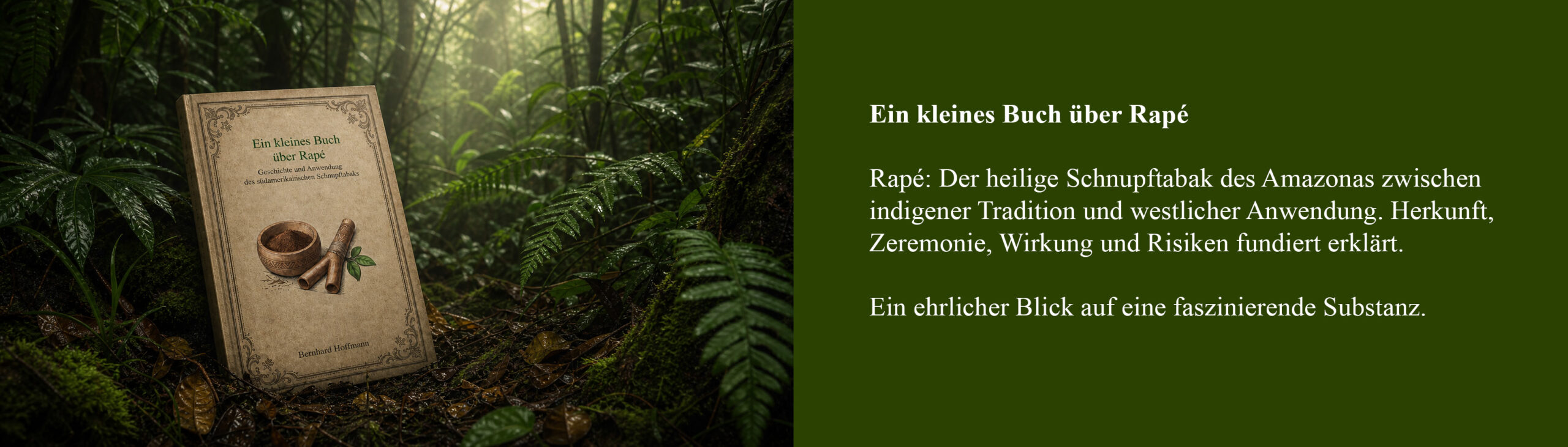 rape-breit